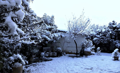 Snow in my garden Loutraki Greece Photo Greeker than the Greeks
